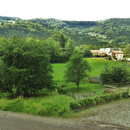 Hotel Les Jolis Coeurs Thiéfosse Zewnętrze zdjęcie
